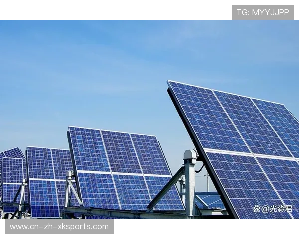 可持续能源应用：球场太阳能覆盖达80%